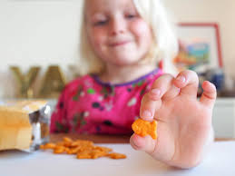 Goldfish 24x43g Original